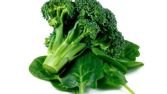 Franklin Wallet Brown